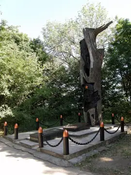 Дуб Камишева — загальний вигляд, Святогірськ