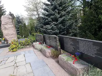 Чорна біль — Пам'ятник Чорна біль стела, Житомир