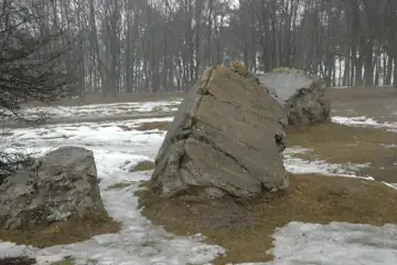Вервольф — загальний вигляд, Вінниця